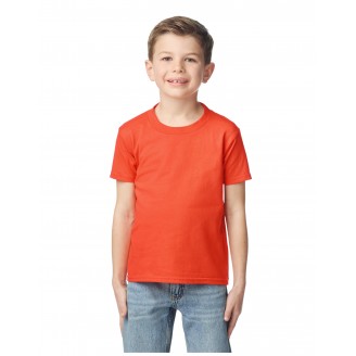 Softstyle Midweight Youth T-Shirt