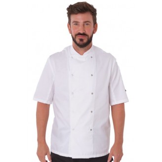 Short Sleeve Chef's Jacket