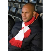 Team Scarf