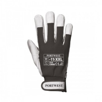 Tergsus Glove