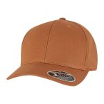 110 Curved Snapback
