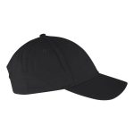 L.A. Brushed Cotton Cap